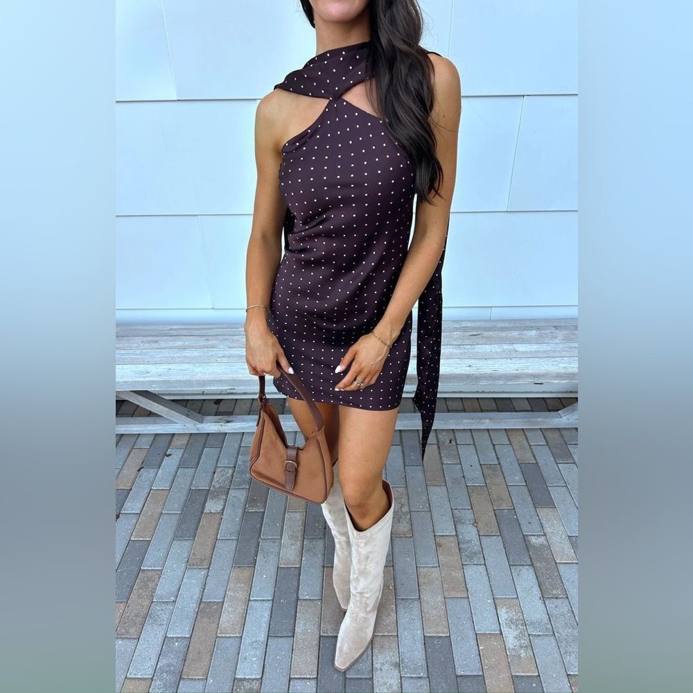 NWT Vestique Carmine Dress